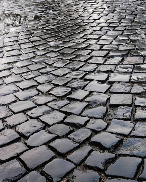 Smooth cobblestones glisten under the light after rain. The surface shows puddles and reflections, creating a peaceful urban scene filled with textures.