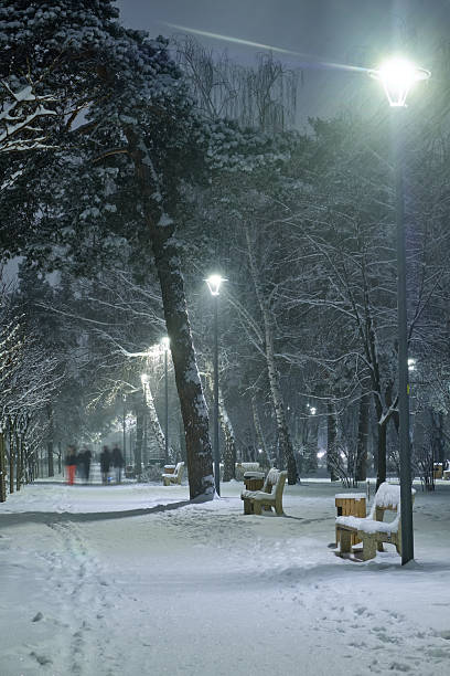 istock Winter park in the evening covered with snow 2253138887