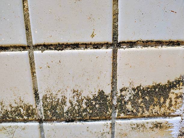 istock Tiles wall very dirty with dirt and mold. House problems. 2253140111
