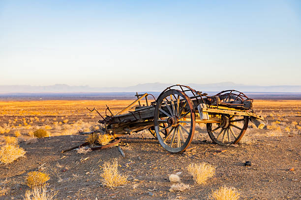 Vintage ox wagon abandoned in Karoo desert, showing weathered wood and iron fittings, South Africa
