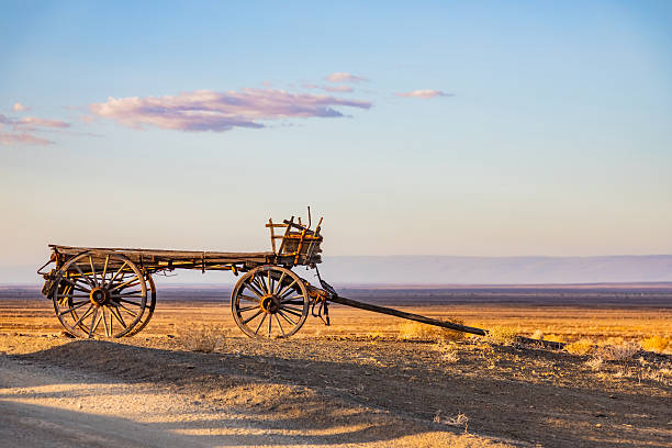 Vintage ox wagon abandoned in Karoo desert, showing weathered wood and iron fittings, South Africa