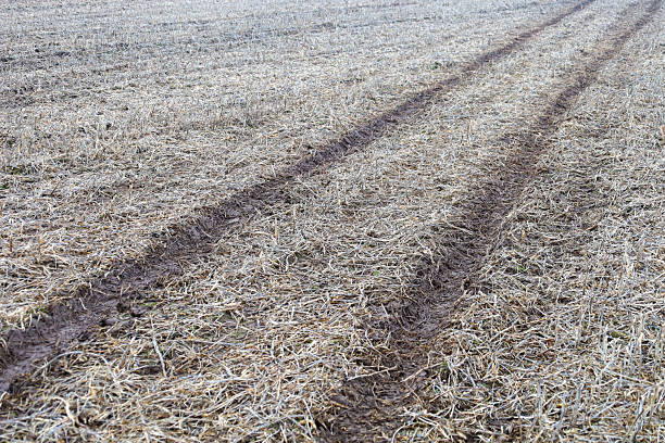 Clear muddy wheel ruts run through a desolate field covered with dry stubble and crop residues under a gloomy sky.