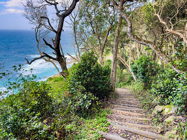 istock Scenic view of a pathway leading down to idilic coastline 2253147939