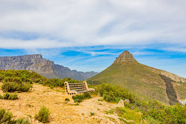 Table Mountain National Park, Trail Hike. The plateau, flanked by Devil's Peak to the east and by Lion's Head to the west, forms a backdrop to Cape Town.