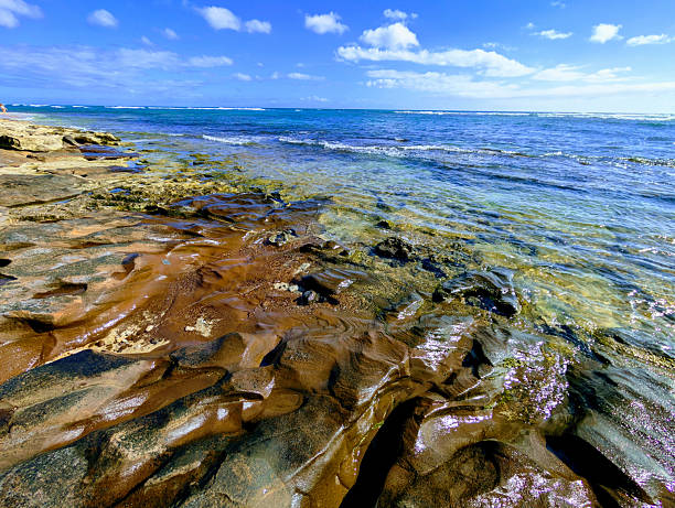 Volcanic rock near Diamond Head Beach Park, Honolulu, Island of Oahu