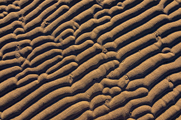 Beach sand Patterns found along the Pacific Rim National Park on Vancouver Island, British Columbia