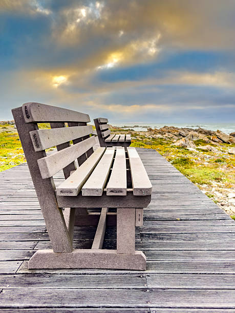 Wooden bench on decking provides idyllic coastal view, tranquil ocean horizon. South Africa