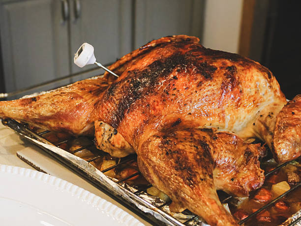 istock a thermometer is placed in a whole roasted turkey resting on a wire rack 2253152489