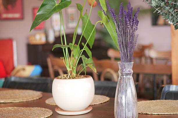 A cozy cafe displays indoor plants and lavender in vases.