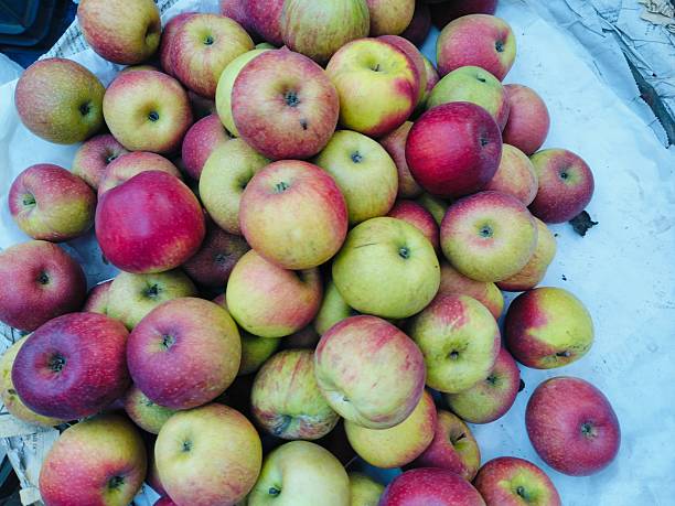 Fresh apples stacked market photography