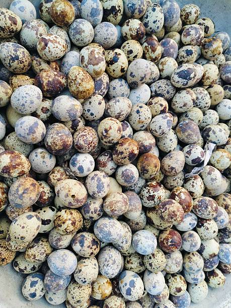 istock Dried berries texture close photography 2253160090