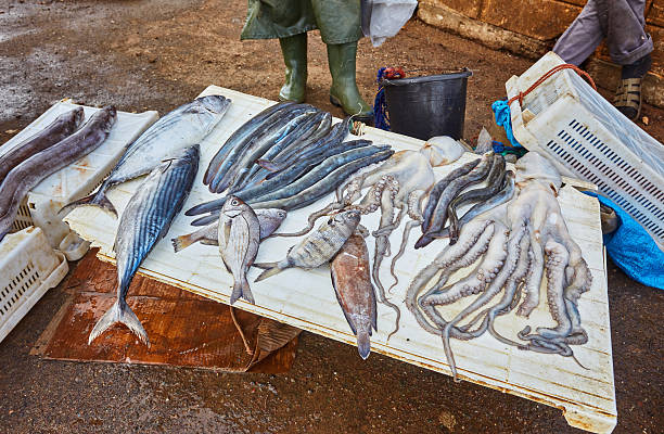 Real fish market and fresh fish, seafood from Atlantic ocean in Morocco