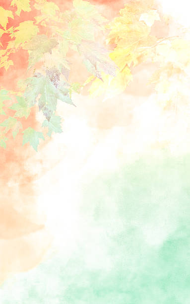 istock Pastel Leaves in Autumn Leaf Colors with Copy Space - Nature Background 2253165884