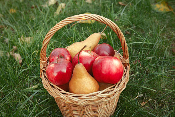 Fresh apples and pears in the basket on meadow