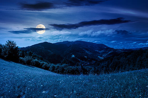 istock beautiful mountain landscape in summer at night 2253167350