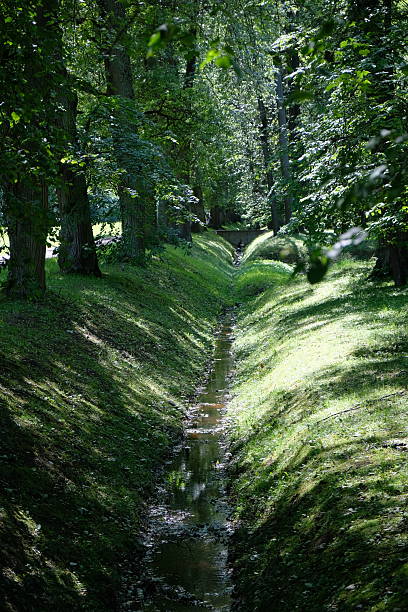 Tree-lined waterway cuts through green landscape in afternoon light