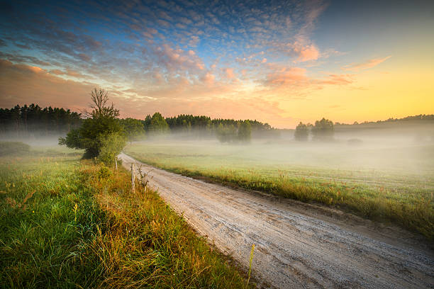 istock Misty summer morning over the forest glade 2253170035