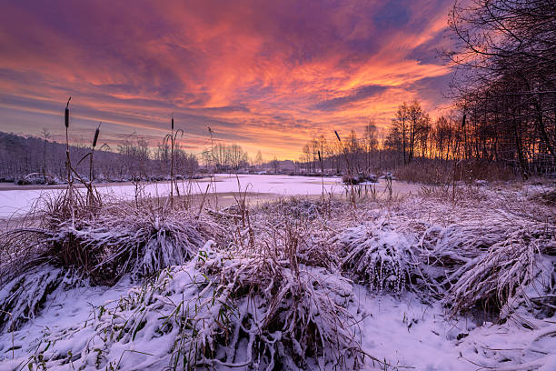 istock Winter sunrise at the lake 2253171512