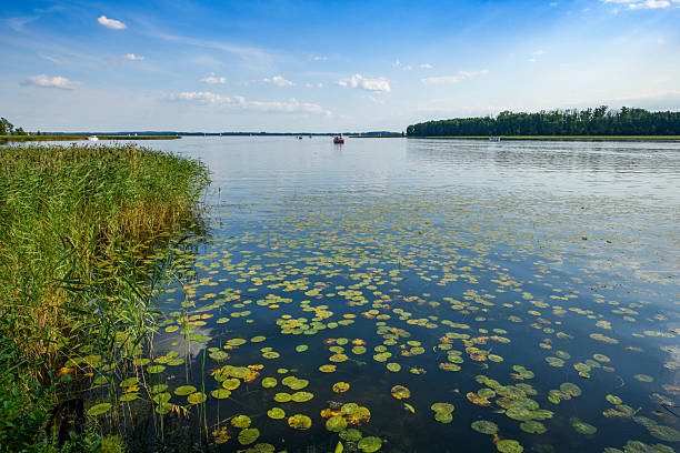 Summer day over the lake