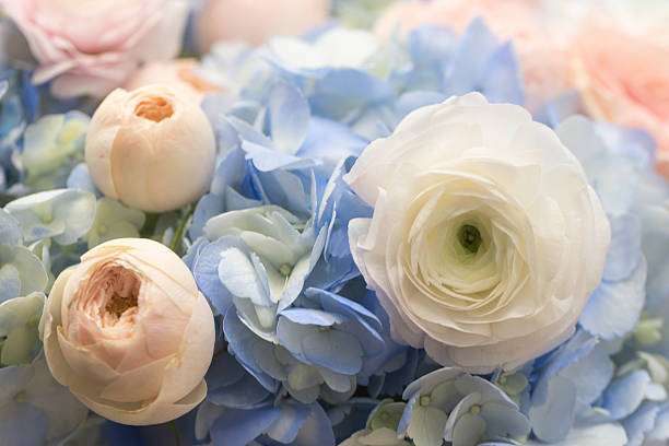 istock Macro Close Up of White Ranunculus with Blue Hydrangea and Peach Roses Bouquet 2253172980