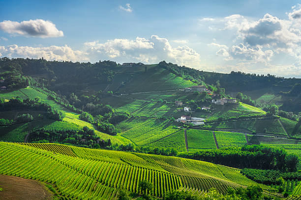 istock Langhe Vineyards Panorama near Serralunga d'Alba, Piedmont 2253173408