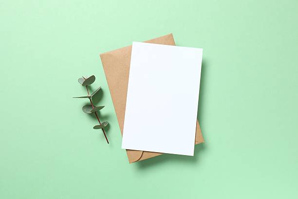 istock Green eucalyptus branches with paper card on color background 2253178844