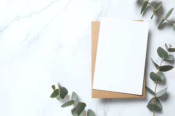 istock Green eucalyptus branches with paper card on color background 2253178880