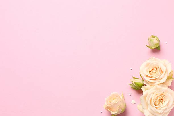 istock Beautiful composition with peony roses on pink background 2253179820
