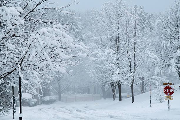 Community during heavy snowstorm, Worcester, Pennsylvania, USA