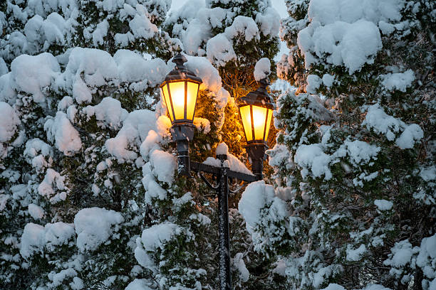 Street lamps duing snowstorm, Pennsylvania, USA