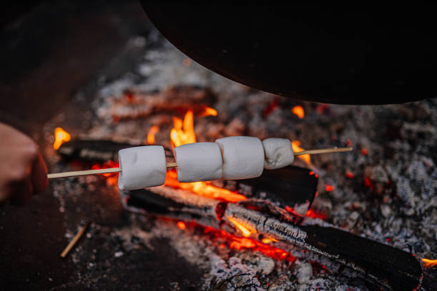 istock Marshmallows on a skewer being roasted over an open fire, with glowing embers and logs creating a warm and inviting atmosphere for outdoor gatherings 2253184602