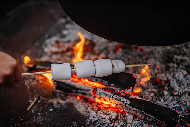 istock Hand holding skewer with marshmallows over glowing campfire embers, surrounded by charred wood, creating a warm and inviting atmosphere for outdoor gatherings 2253184609