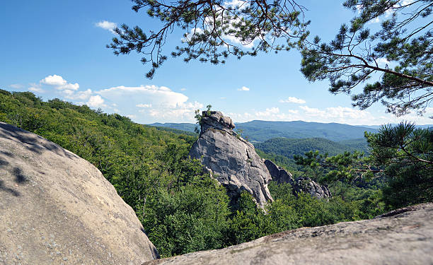 istock Huge rocky boulder formations high in mountains with growing trees on summer sunny day 2253186228