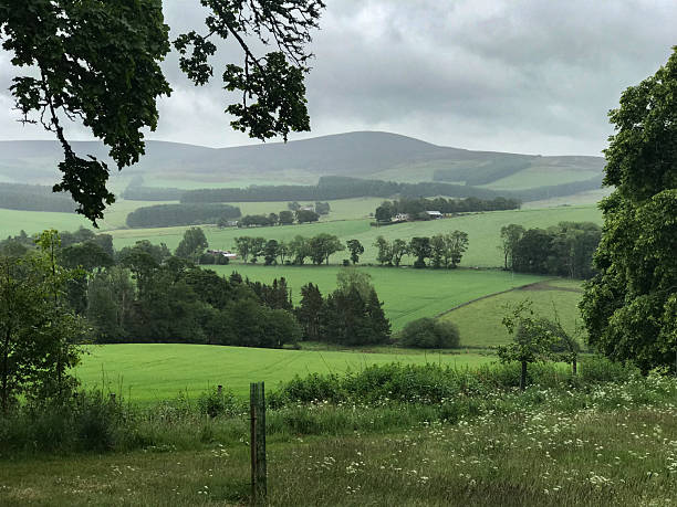 istock Green rolling countryside landscape with trees and hills 2253188393