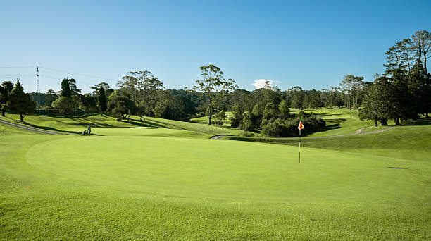 istock Golf course design blending sport and nature. 2253190083