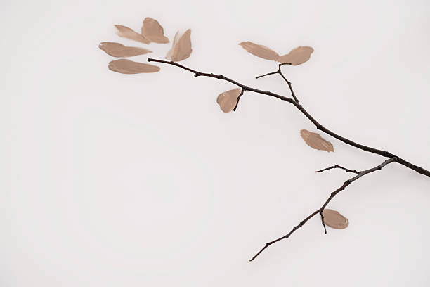 A minimalistic composition featuring a dark, slender tree branch adorned with artistic brushstrokes in Mocha Mousse. The warm, earthy tones contrast beautifully against the white background, making it a perfect visual for branding, design projects, and seasonal campaigns. This image can be used in advertising, social media graphics, and minimalist decor inspirations