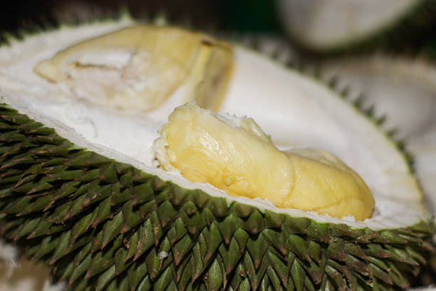 Close-up view of a freshly opened durian fruit revealing its creamy yellow flesh and distinctive texture