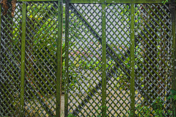 A close-up, full-frame shot of an old wooden diamond latticework fence or screen, covered in green moss and showing a blurred, colorful residential view through the gaps.