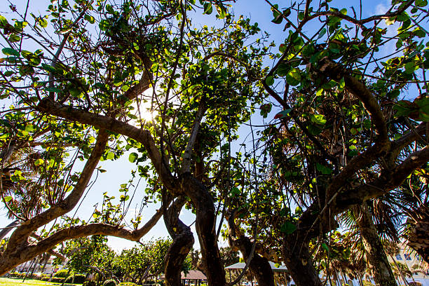 Humiston Beach Park, Vero Beach, Florida