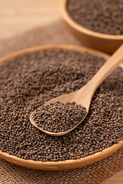 istock Dried perilla seed in spoon and bowl 2253204152
