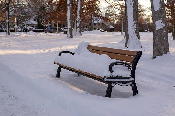 istock Snow covered bench in a quiet winter park 2253204930