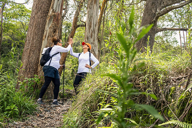 istock Two mature female hikers giving high five while hiking in lush forest 2253207768