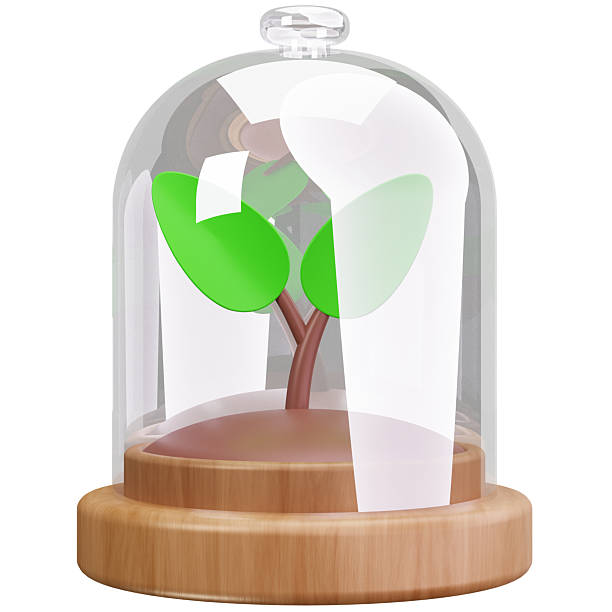 istock Plant Protection Environmental Care 2253207952