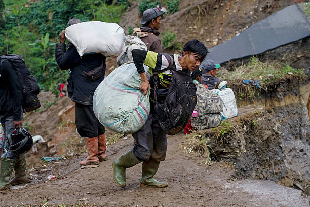 A group of hikers carefully makes their way down a narrow forest trail in Binsar Nature Reserve, Kumaon Region, India. Surrounded by dense foliage, sunlight, and views of the distant hills, the scene captures the spirit of outdoor exploration and nature-based adventure. Ideal for themes of outdoor activities, trekking, eco-tourism, teamwork, and Himalayan forest landscapes.