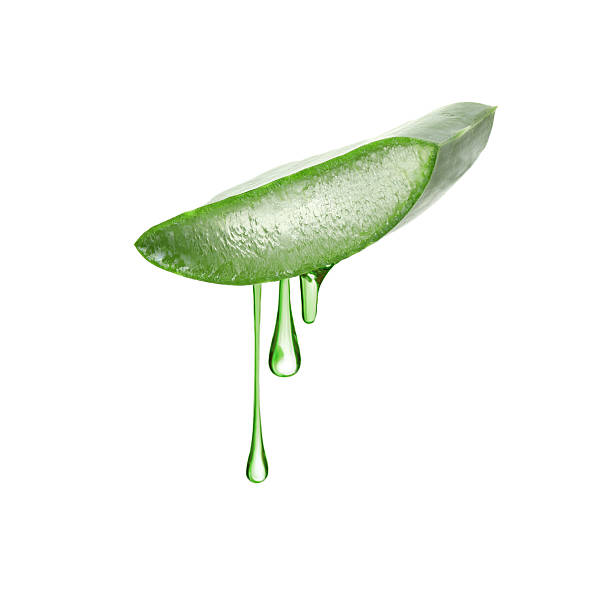 istock Aloe vera leaf cross section with juice in air on white background 2253210774