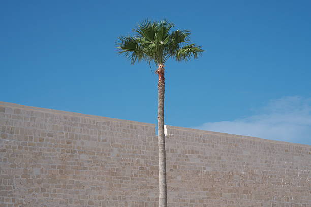 Cairo,Egypt - December 4, 2025: Qaitbay Citadel in Alexadria, Egypt