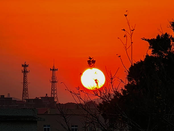 The setting sun was very red, shining on the iron tower beside it