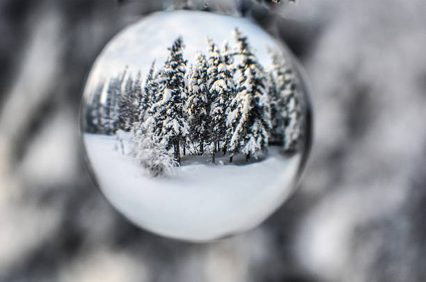 Crystal ball capturing a harsh winter landscape with snow and cold conditions, while the surrounding background remains softly blurred. The image creates a sense of contrast and focus, symbolizing foresight, prediction, and the uncertainty of winter weather.