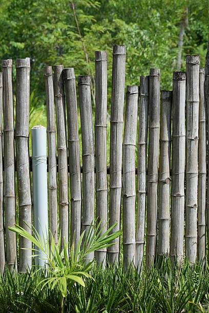 istock Weathered Bamboo Fence with PVC Pipe Accent 2253223020