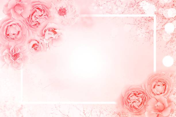 Elegant peach rose floral frame with soft bokeh light background. Dreamy pastel border with copy space for Valentine's Day, wedding invitations, romantic greetings, and spring beauty banners